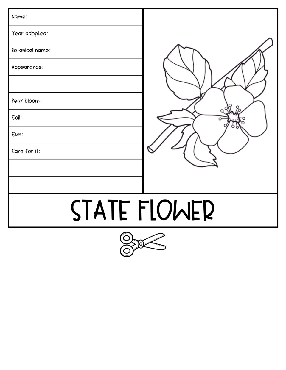 State flower flap: students fill in name, year adopted, botanical name, appearance, peak bloom, soil, sun and plant care