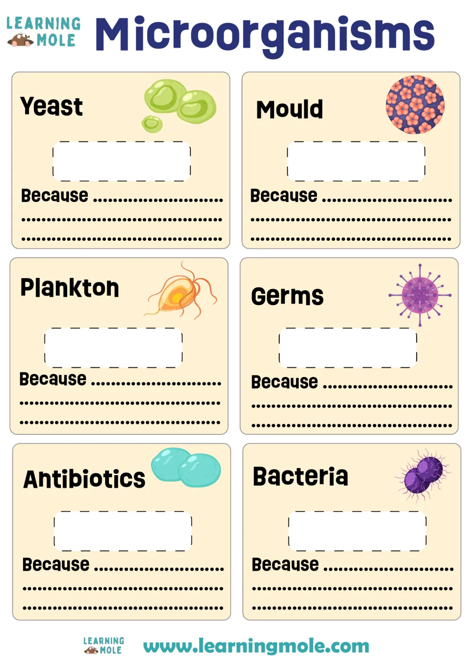 Microorganisms: students label yeast, mould, plankton, germs, antibiotics and bacteria as harmful, useful or both