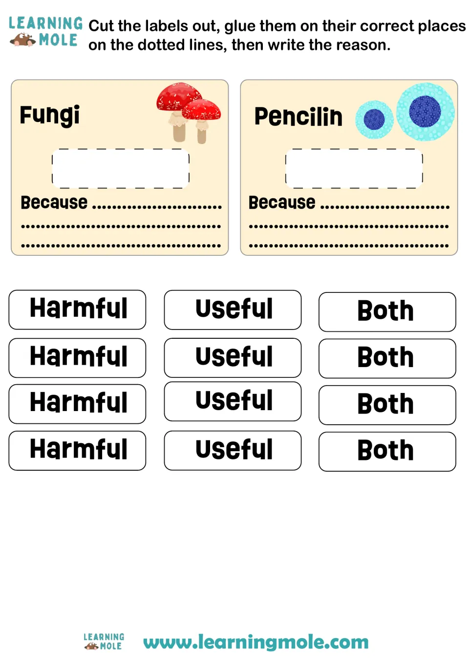 Fungi and penicillin panels plus cut-out Harmful, Useful and Both labels to glue on each microbe, then write the reason