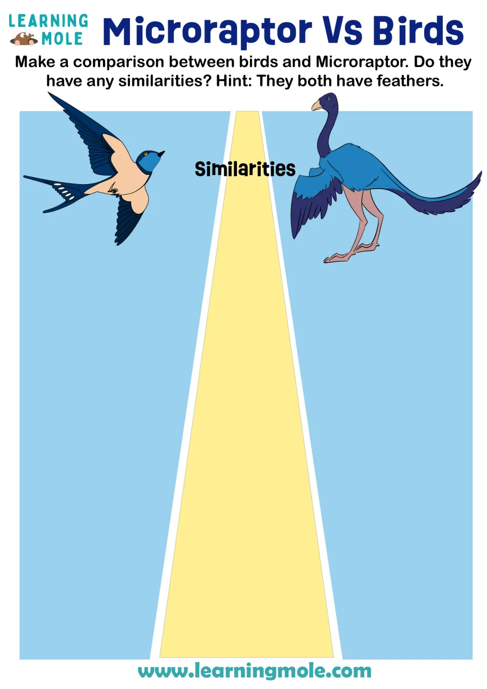 Bird and Microraptor comparison: students list traits a swallow and the feathered dinosaur share, starting with feathers