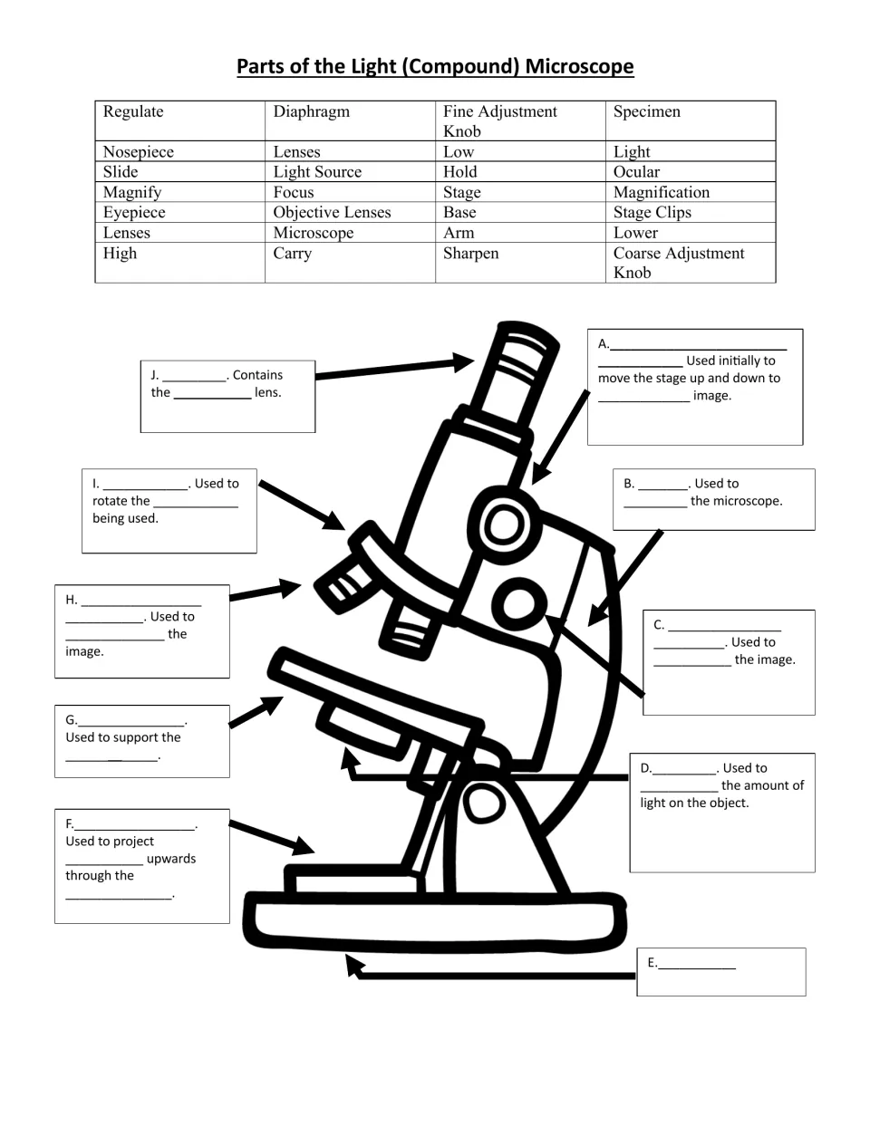 Light microscope parts: students label 10 parts, A to J, on a drawing and complete each function from a word bank