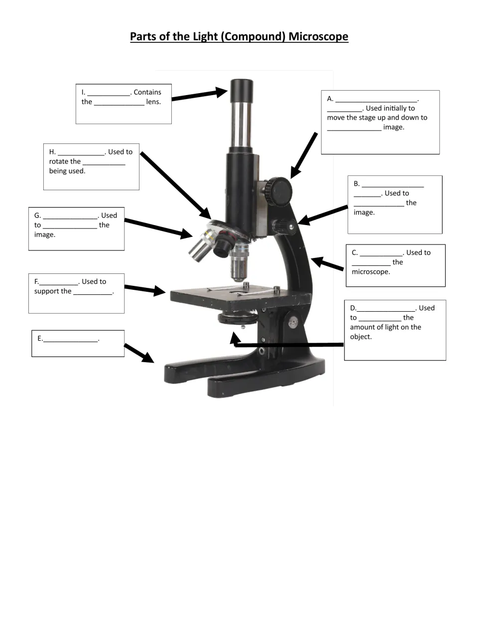 Light microscope photo: students identify 9 parts, A to I, and fill in what each one does without a word bank