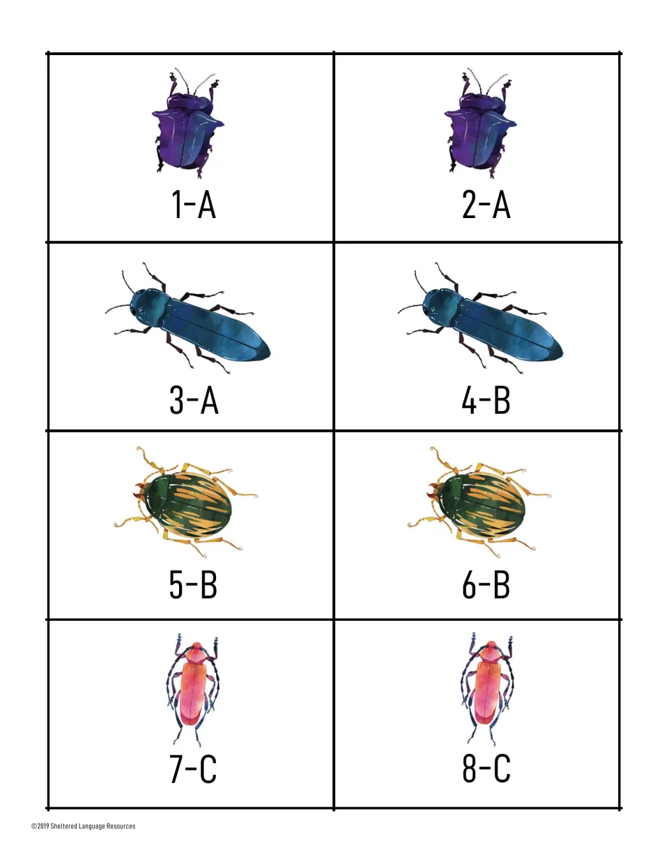 Grouping cards 1-A to 8-C: purple, blue, green-gold and pink beetles in identical pairs that students match to find groups