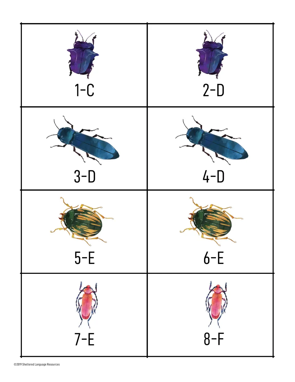 Grouping cards 1-C to 8-F: same four beetle pictures with new letters so letter groups of three continue from C through F