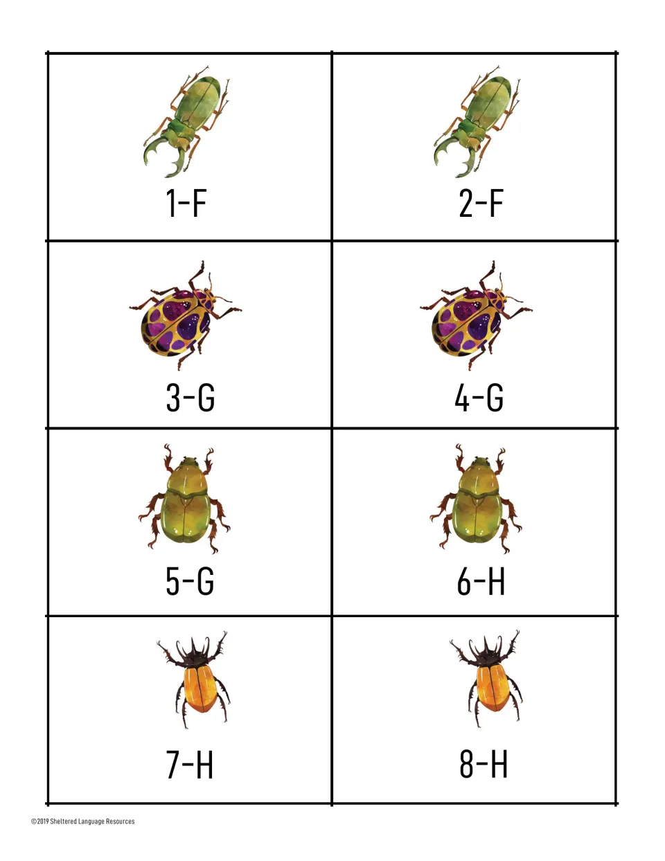 Grouping cards 1-F to 8-H: green stag beetle, purple-spotted, olive and orange horned beetles in pairs for matching