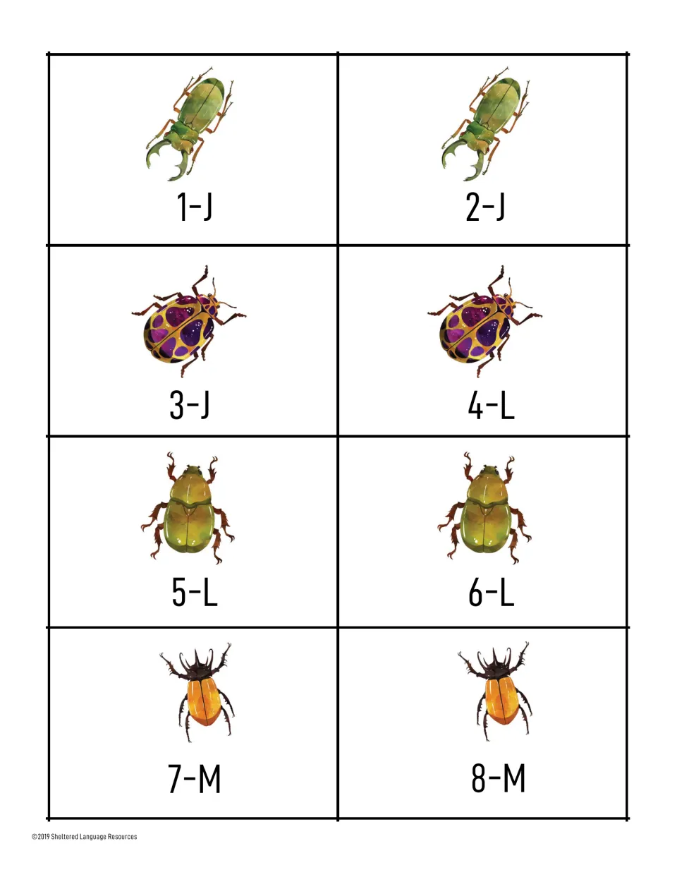 Grouping cards 1-J to 8-M repeat the stag, spotted, olive and horned beetles with letters J, L and M for groups of three