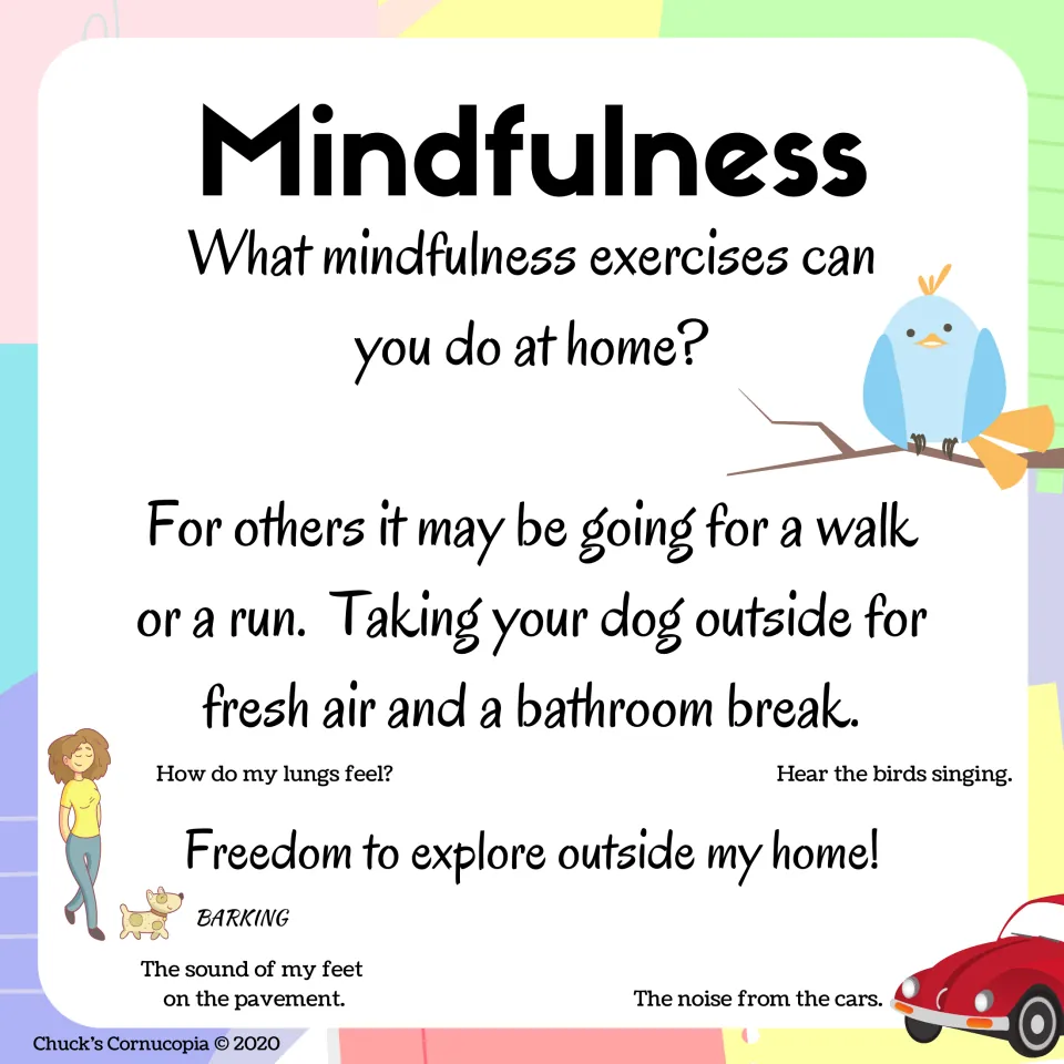 Awareness at home, part 2: walking, running or taking the dog out while noticing lungs, birdsong, barking and car noise