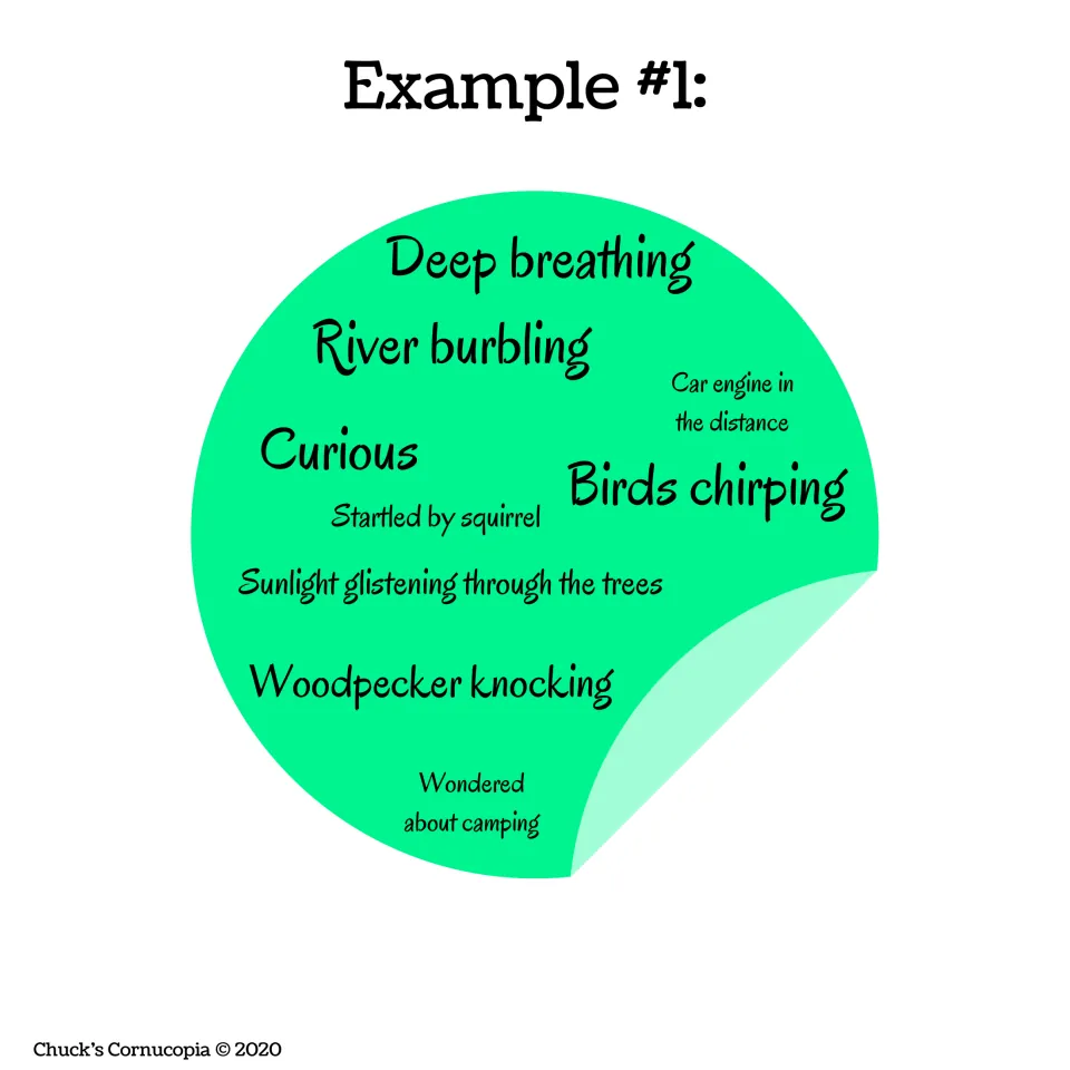Example 1, second note: feelings and senses from the hike, such as deep breathing, river burbling, curious, birds chirping