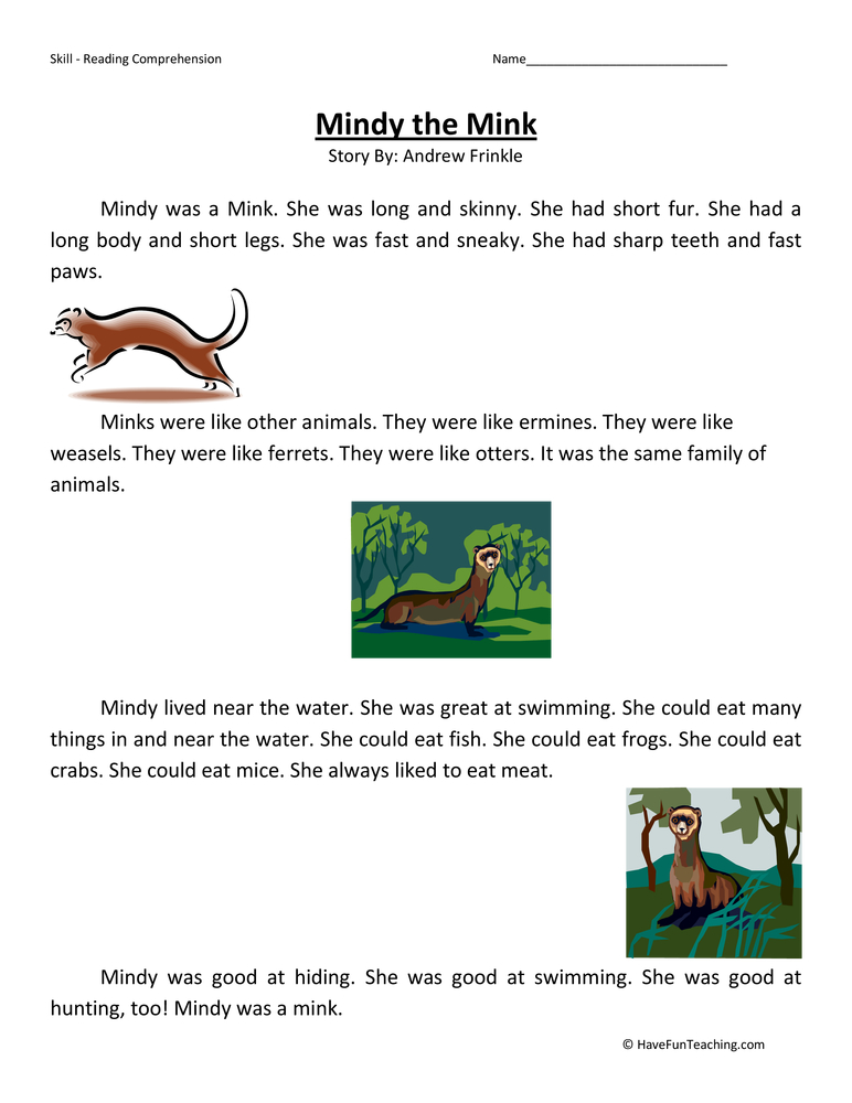 Mindy the Mink Reading Comprehension Worksheet teaching resource preview