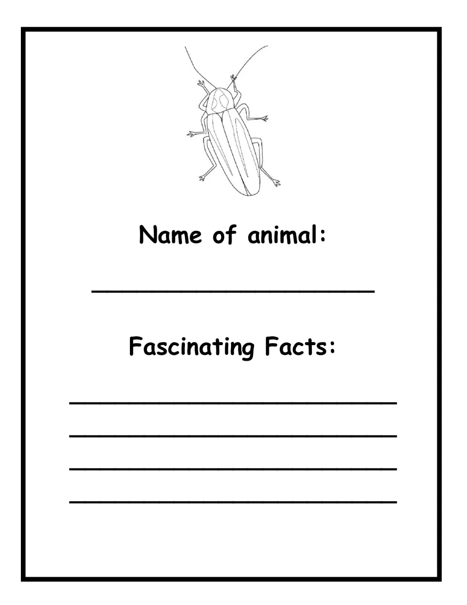 Beetle fact page: students write the name of the animal shown in the drawing, then record fascinating facts they find out