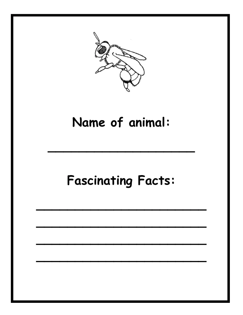 Bee fact page: students write the name of the hairy bee drawn at the top and add fascinating facts they have learned