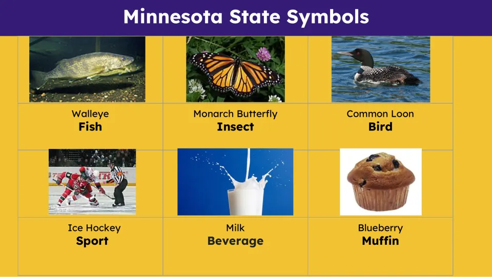 State symbols slide identifying walleye, monarch butterfly, common loon, ice hockey, milk, and blueberry muffin