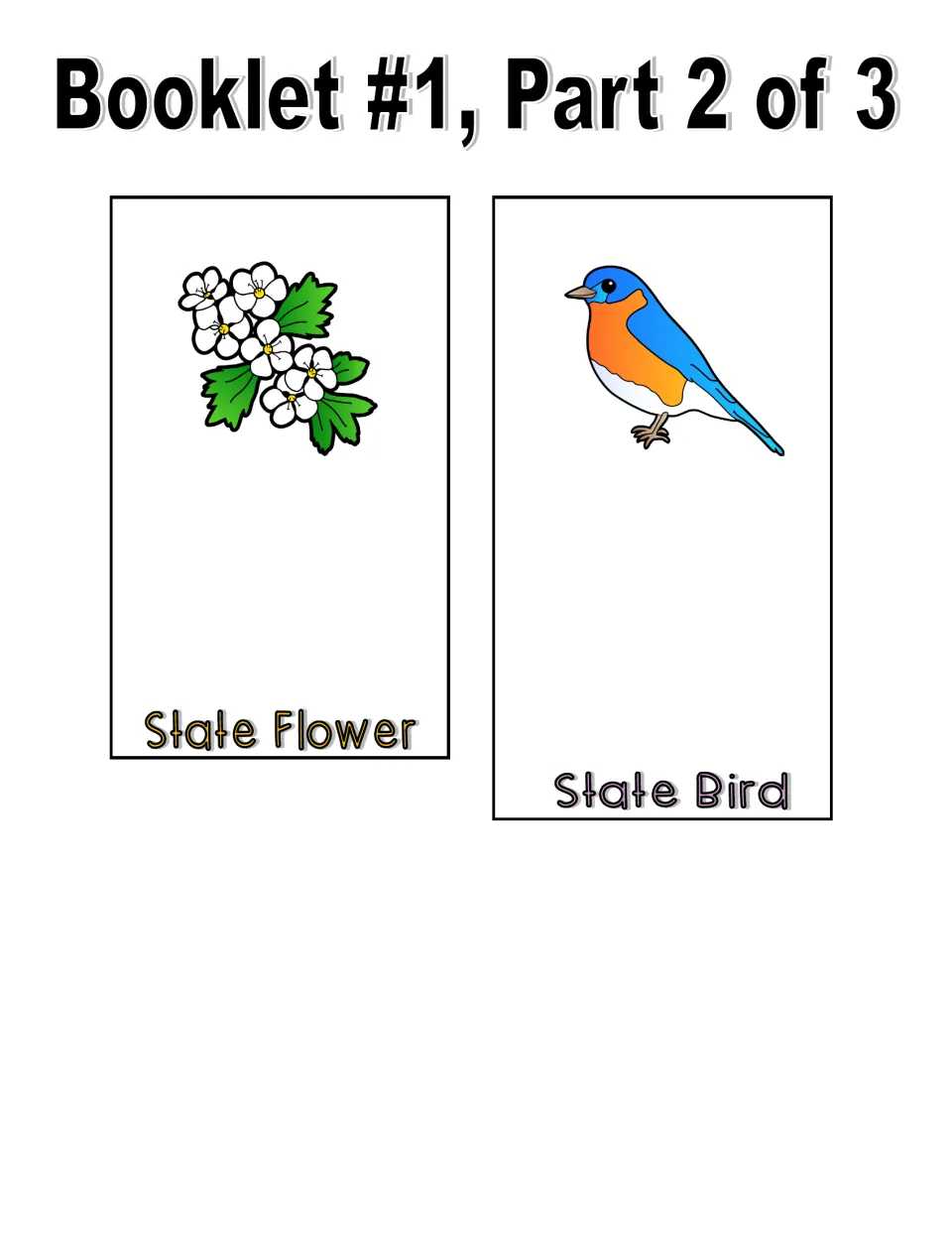 Color booklet part 2 of 3: State Flower page with white blossoms and State Bird page with a blue and orange bird