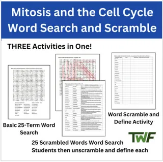 Mitosis and the Cell Cycle Word Search and Scramble Activity – preview