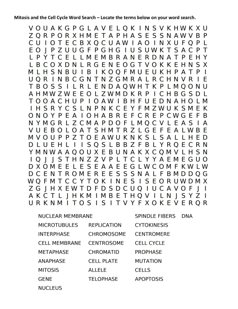Cell cycle word search: students find 25 terms such as interphase, metaphase, cytokinesis and centromere in a letter grid