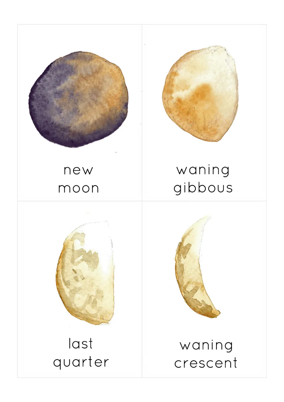 Illustrated moon phase flashcards 5–8: new moon, waning gibbous, last quarter, and waning crescent.