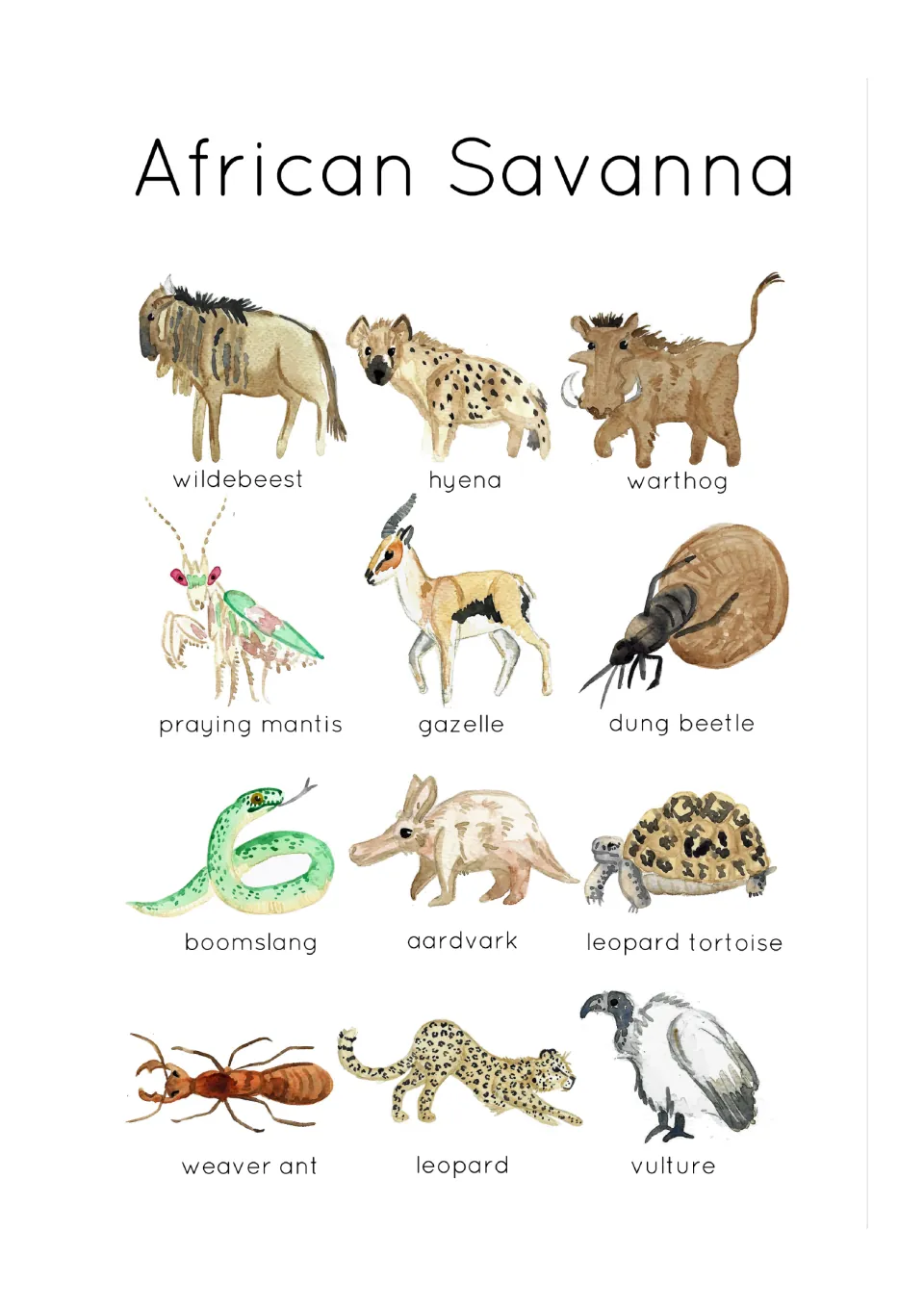 African Savanna poster: 12 labeled watercolor animals including wildebeest, hyena, warthog, aardvark, leopard and vulture