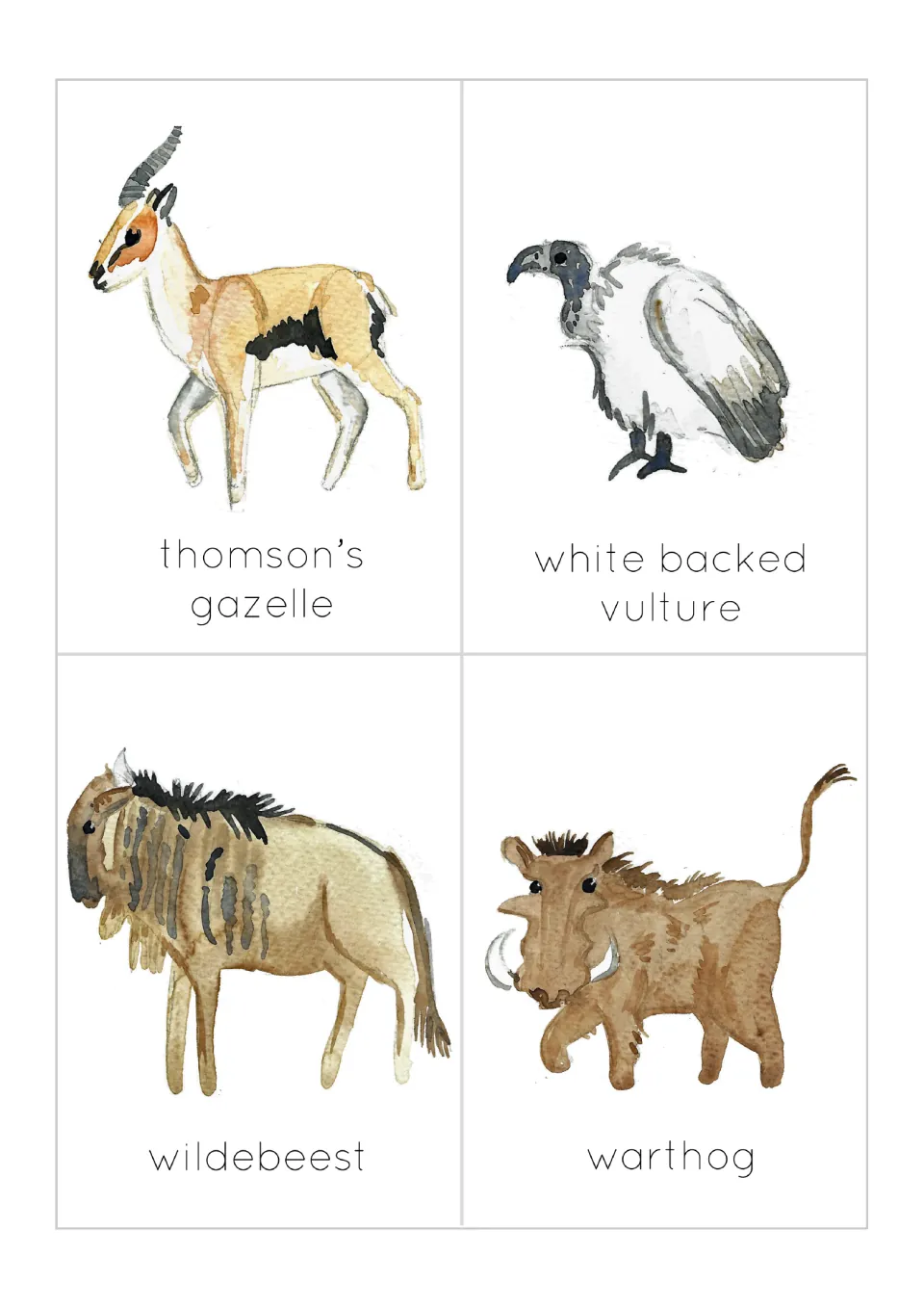 Savanna animal flashcards: watercolor picture cards naming thomson's gazelle, white backed vulture, wildebeest and warthog
