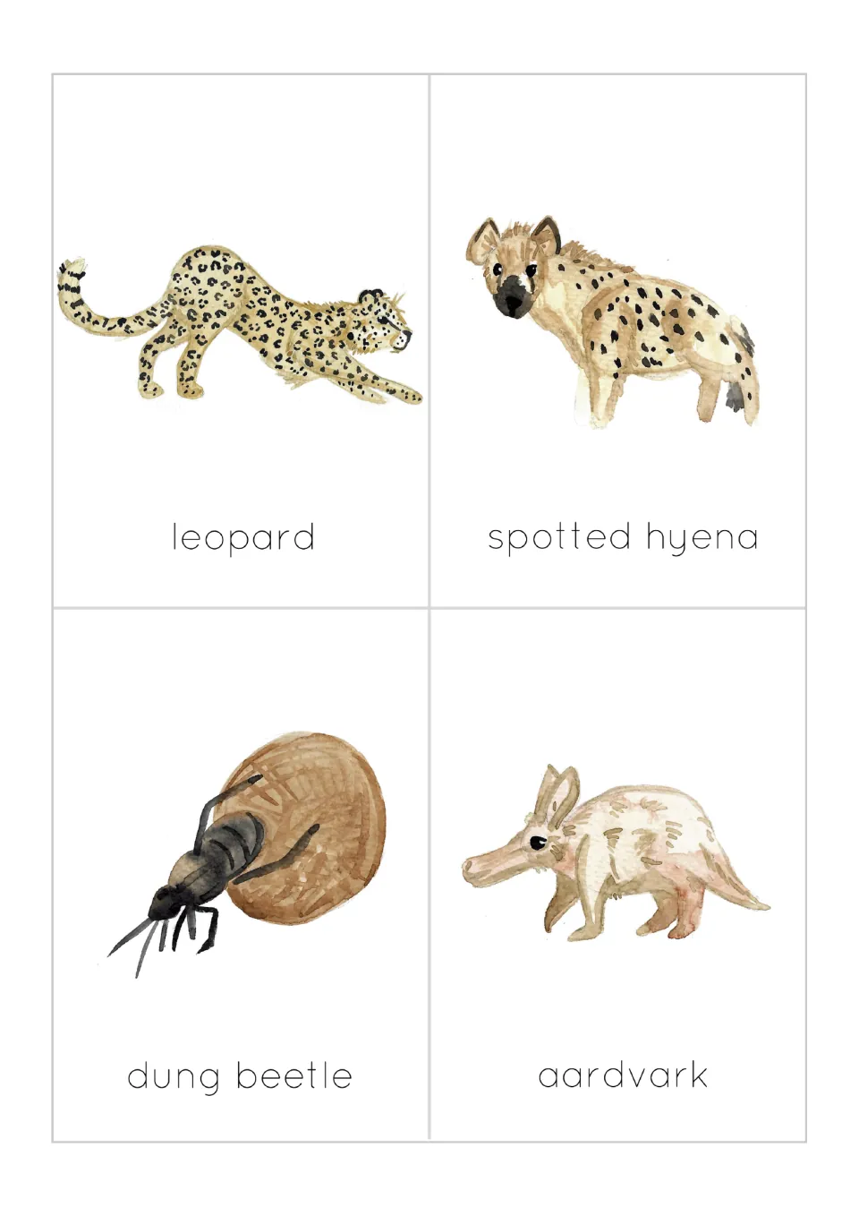 Picture-word flashcards: vocabulary cards for leopard, spotted hyena, dung beetle and aardvark with watercolor art