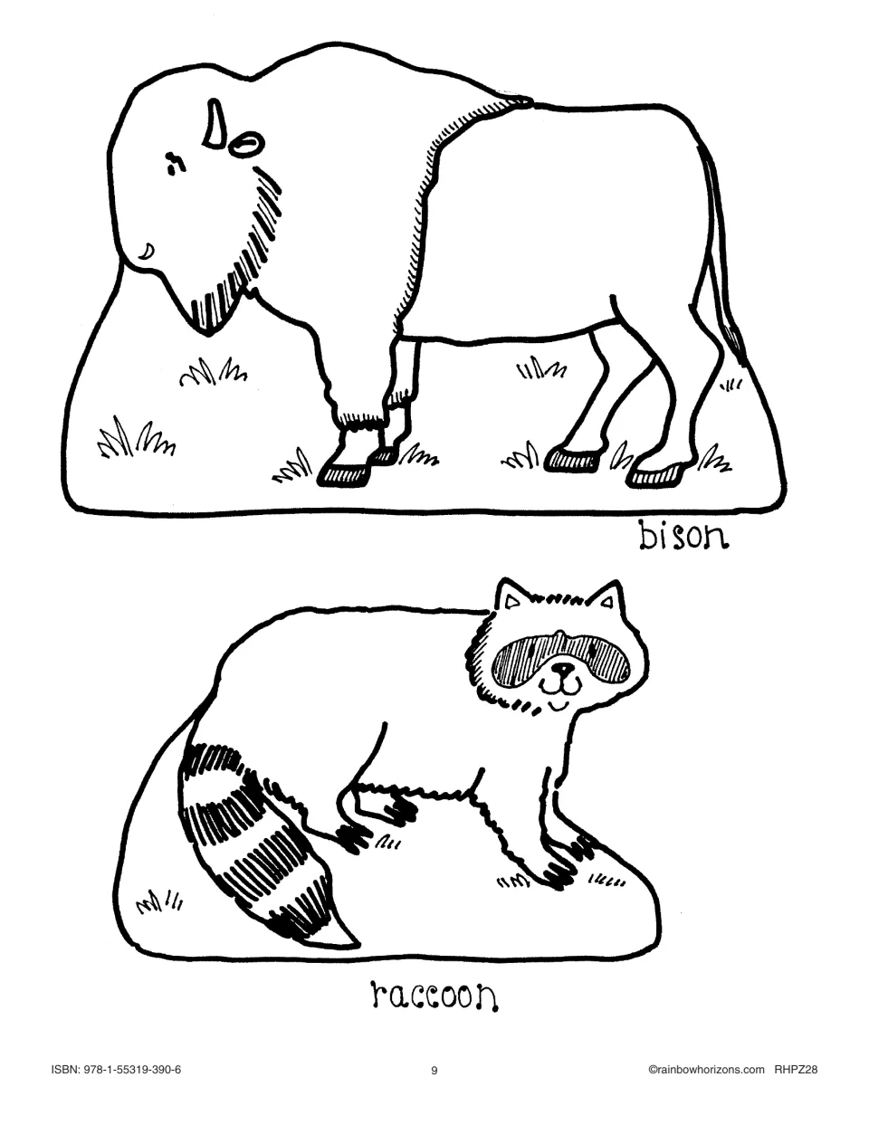Storytelling picture sheet for Kokum’s story includes two labeled animal illustrations: bison and raccoon.