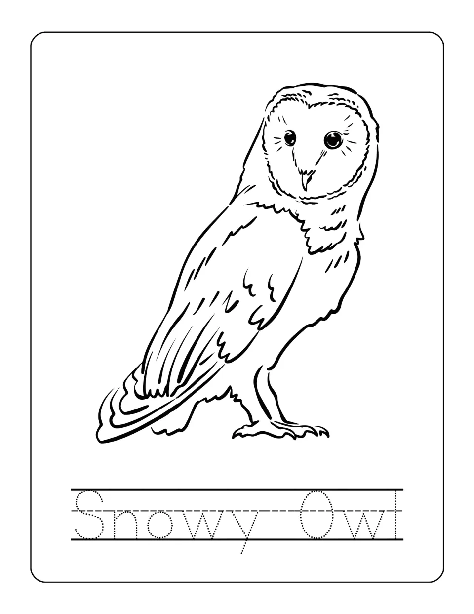 Standing bird in profile for students to color, labeled Snowy Owl, with dotted letters to trace for name printing