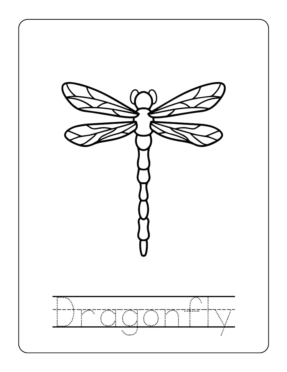 Dragonfly outline with veined wings and a segmented body to color, plus letter tracing for the insect's name
