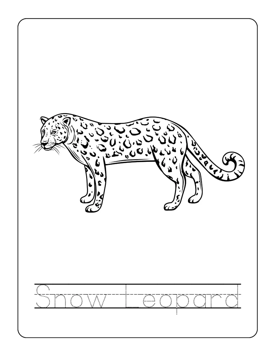 Snow leopard page: children color a spotted big cat with a curled tail and trace the dotted words Snow Leopard below it