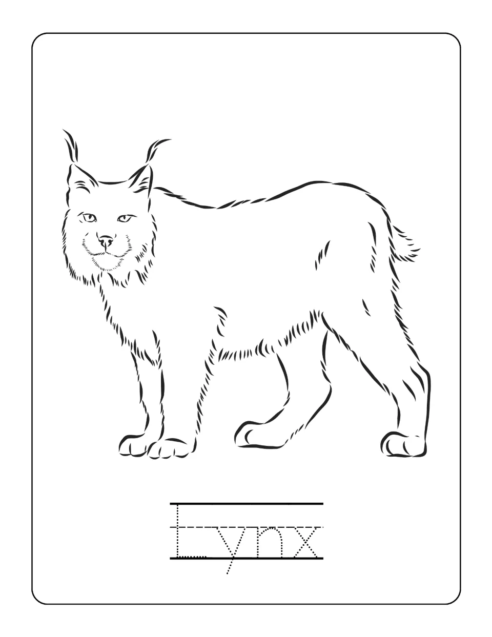 Lynx page: students color a sketch of a lynx with tufted ears and a short tail and trace the dotted four-letter word Lynx