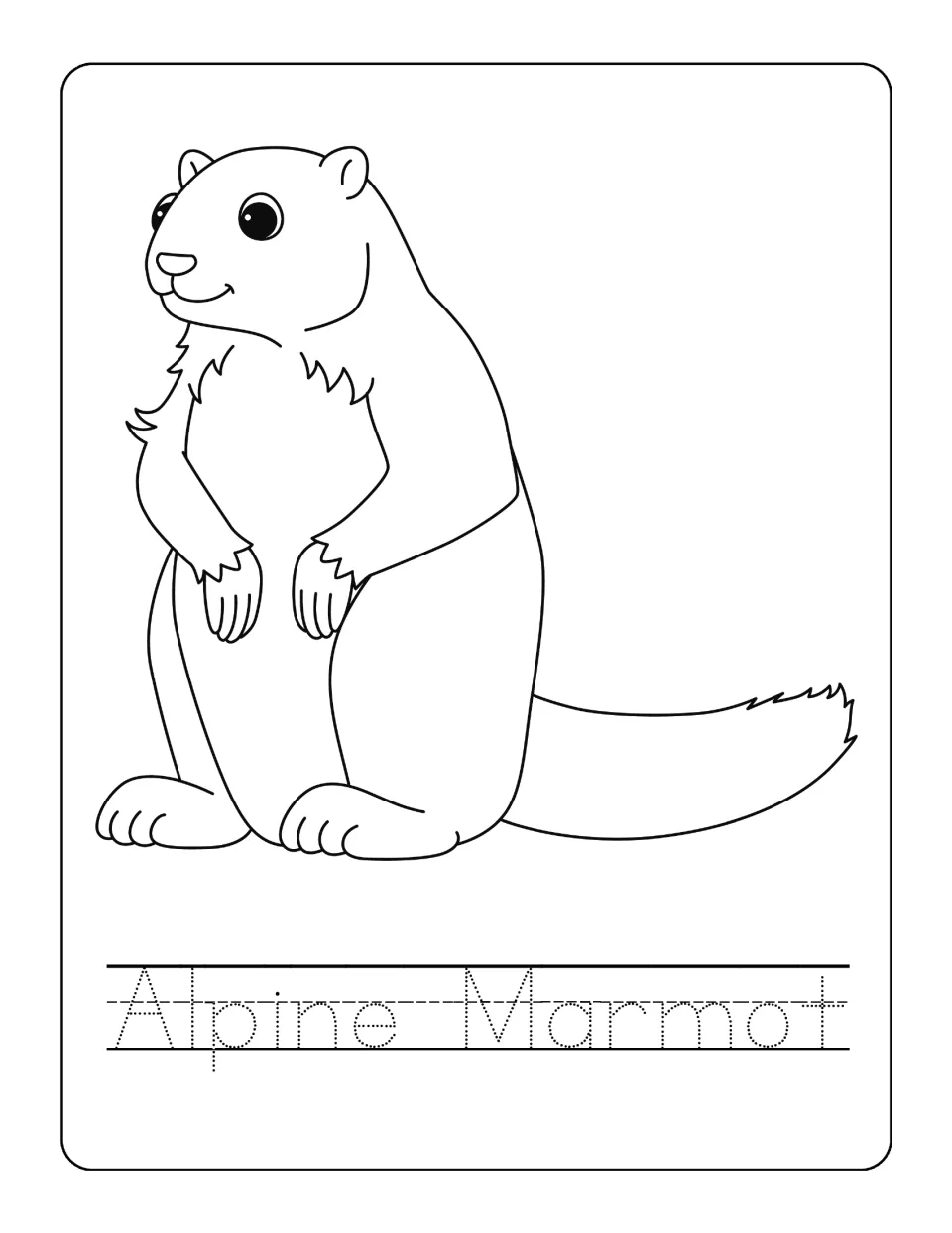 Alpine marmot page: children color a cartoon marmot standing on its hind legs and trace the dotted words Alpine Marmot