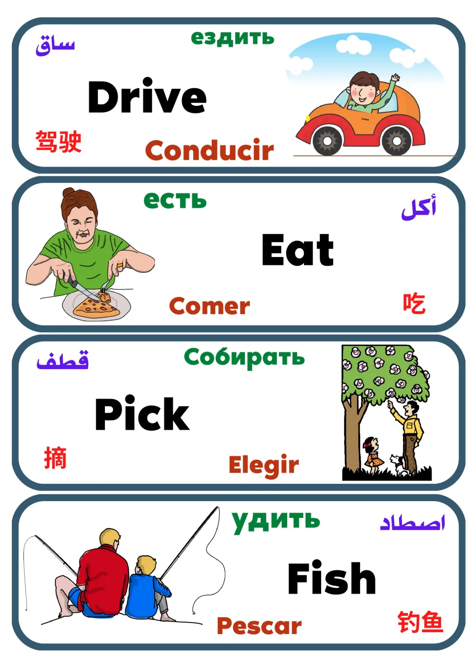 Flashcards for drive, eat, pick and fish, pairing each pictured action with Spanish, Russian, Arabic and Chinese words