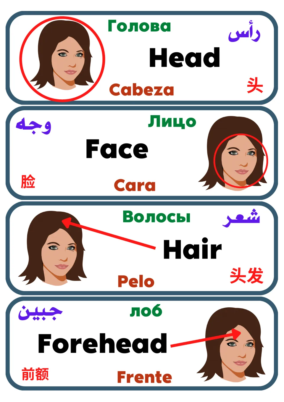 Head and face labels: Head, Face, Hair and Forehead in English, Spanish, Russian, Arabic and Chinese with pictures