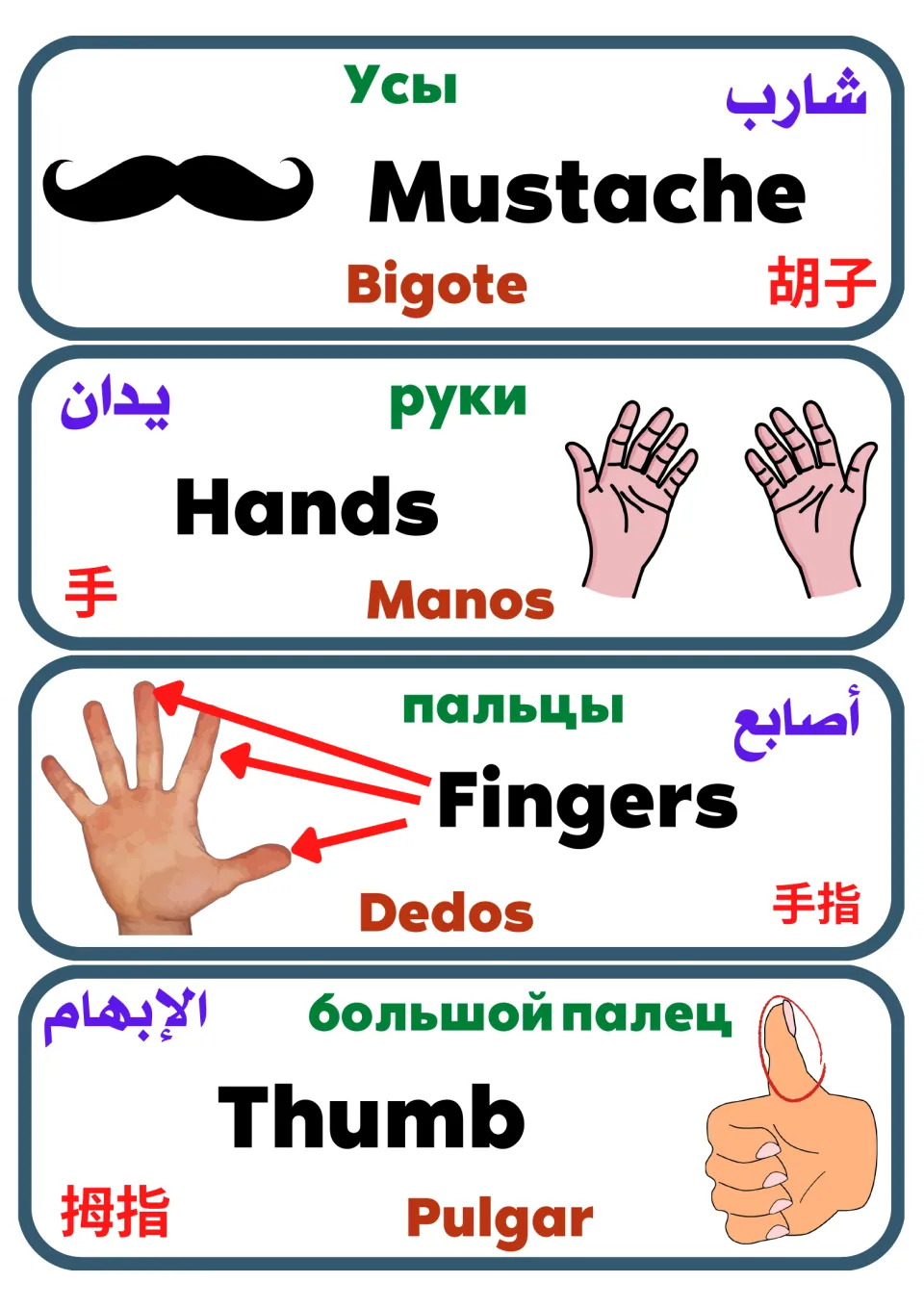 Mustache, Hands, Fingers and Thumb label cards in English, Spanish, Russian, Arabic and Chinese with pictures and arrows