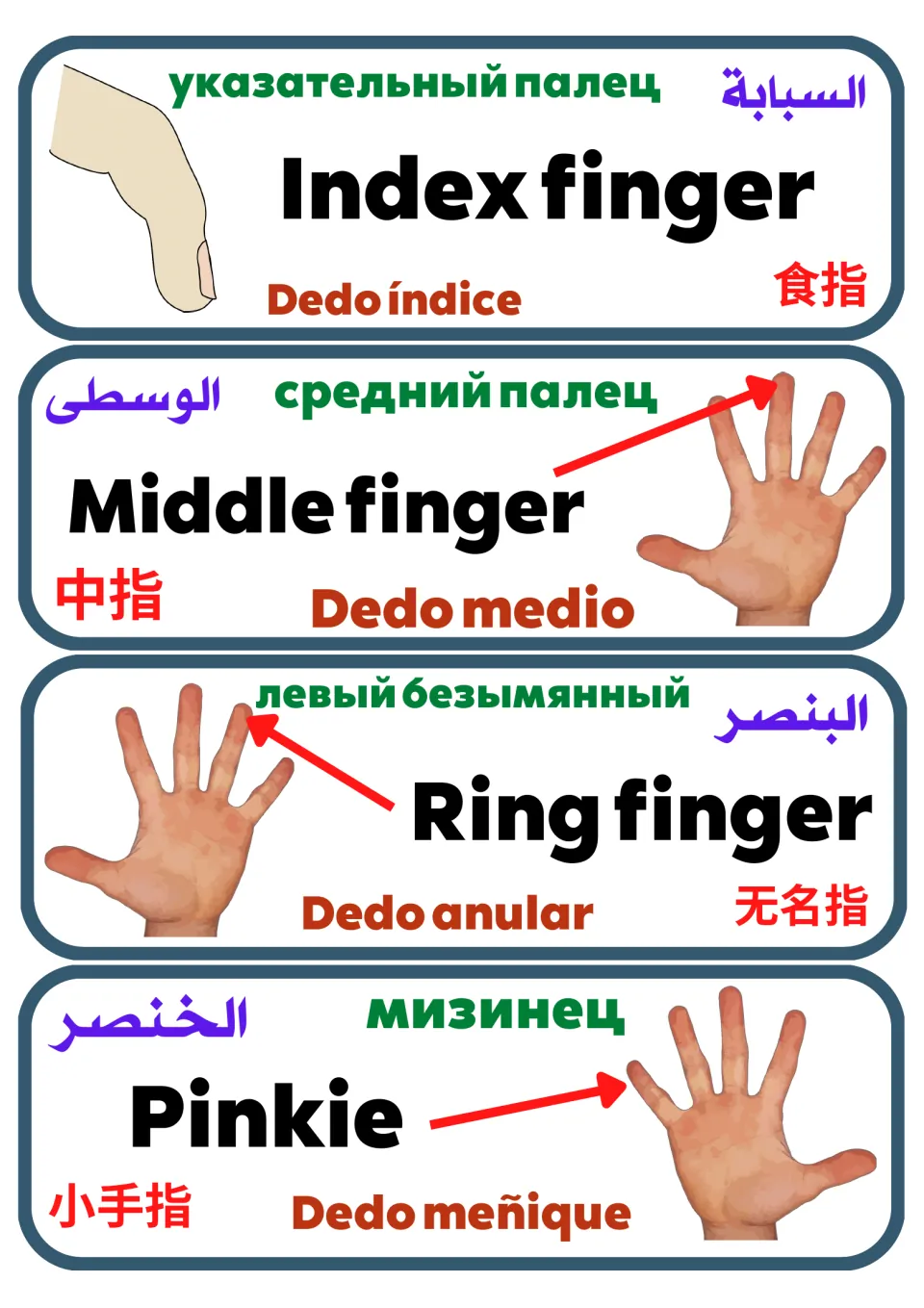Finger names cards: Index finger, Middle finger, Ring finger and Pinkie in five languages, each shown on a drawn hand