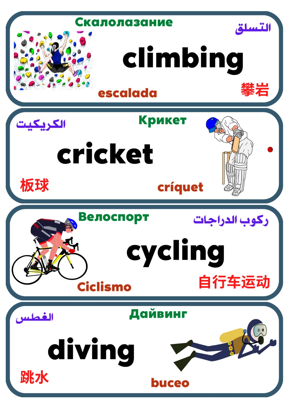 Sports flashcards: climbing, cricket, cycling and diving with pictures plus Spanish, Russian, Arabic and Chinese words