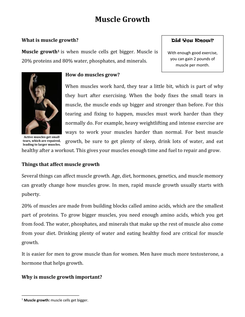 Reading passage opening: muscle cell growth, muscle repair after exercise, and factors affecting growth
