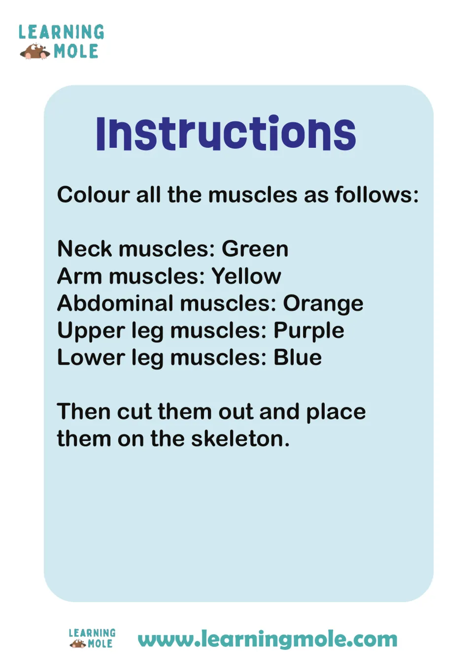 Instructions: colour neck muscles green, arms yellow, abdominals orange, upper legs purple, lower legs blue, then cut out