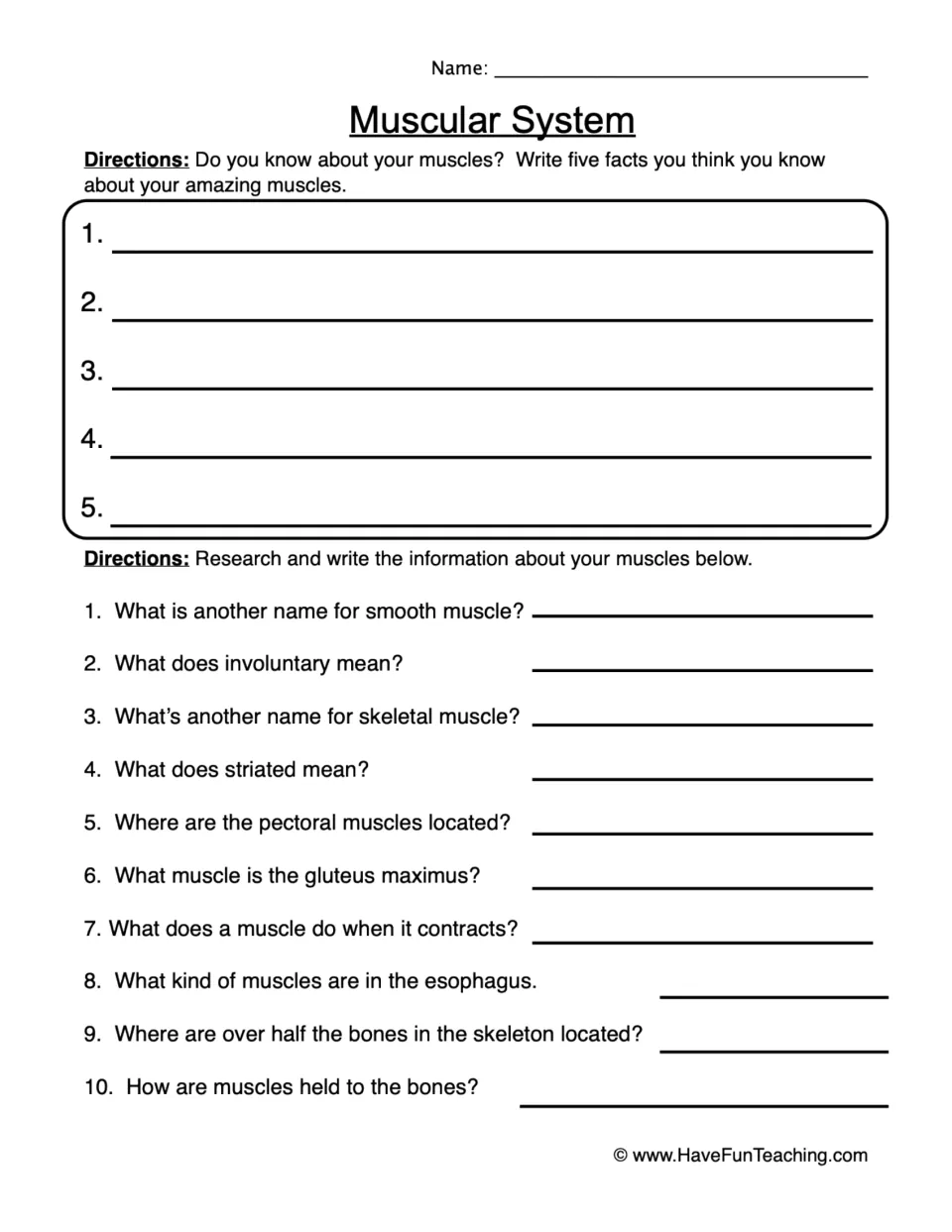 Muscular system worksheet: write five muscle facts and research 10 questions about muscle types and function.