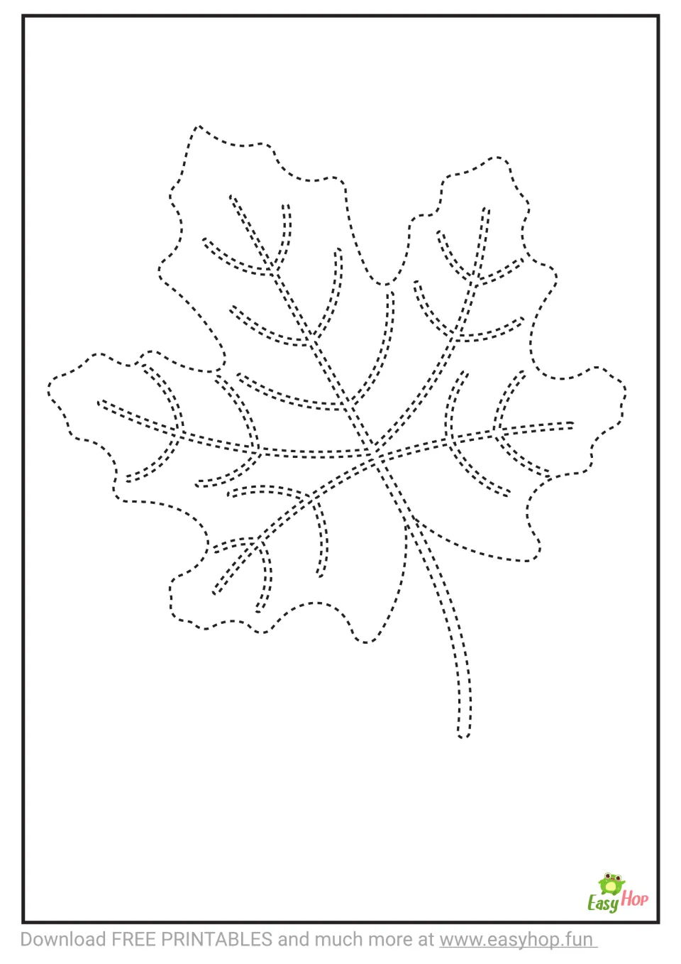 Tracing template featuring one large leaf with dashed contours along its edges, stem, and branching veins