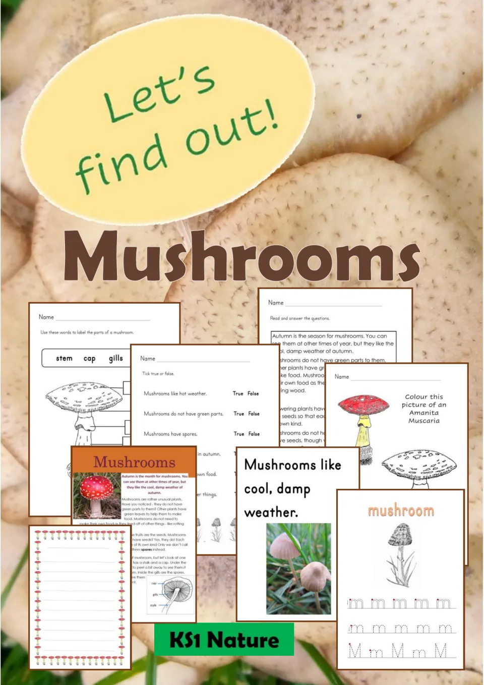 Mushrooms cover, Let's find out!, showing sample pages: labeling parts, true or false, reading, colouring and tracing m