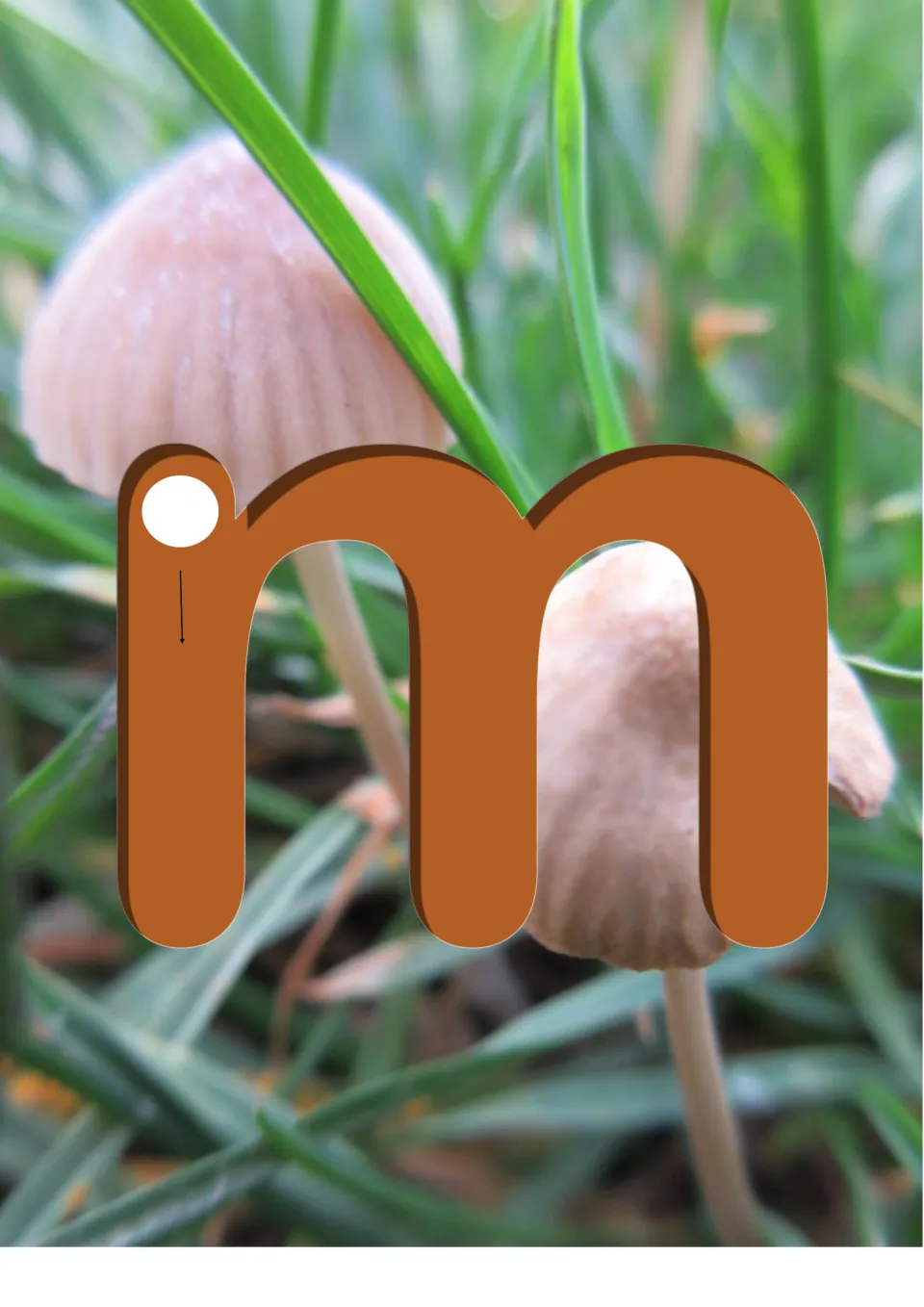 Letter m slide with a large lowercase m and a start-point arrow over a photo of two small mushrooms in grass