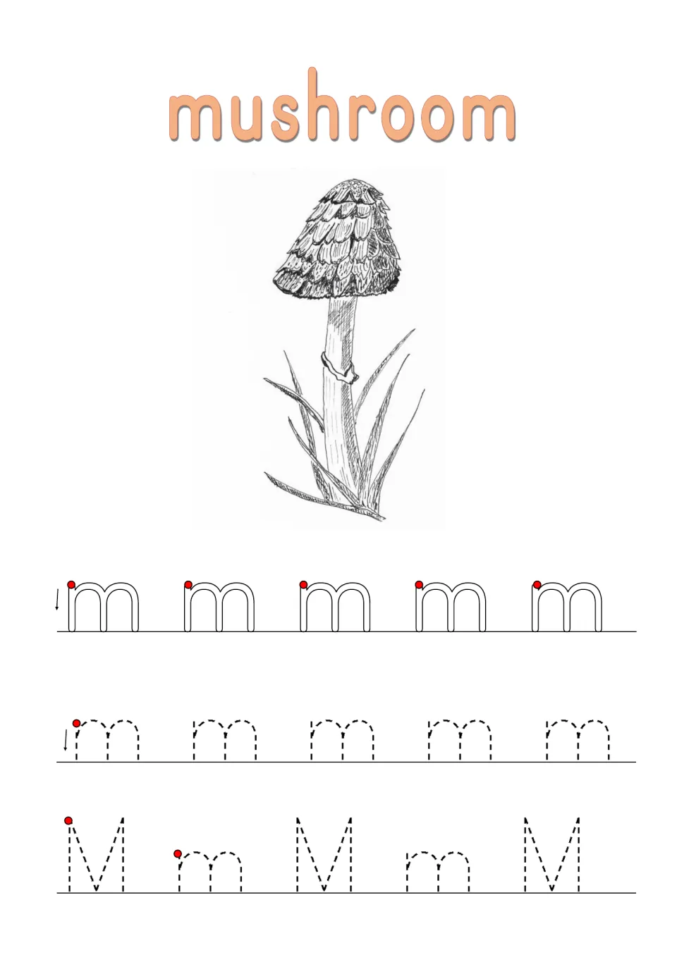 Handwriting practice for the word mushroom: students trace lowercase m and capital M beside a drawing of a mushroom