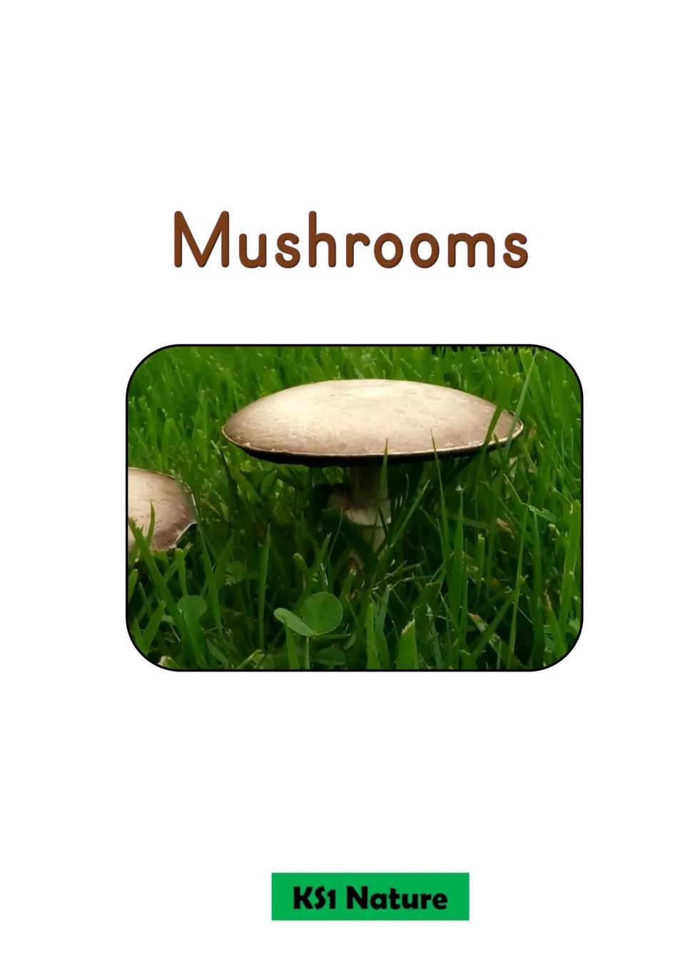 Title slide reading Mushrooms above a photo of a brown-capped mushroom growing in green grass