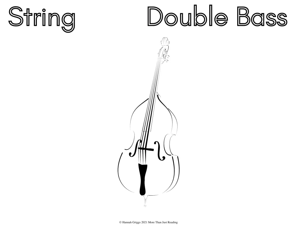 Double Bass, String family: students color a line drawing of the upright bass showing its scroll, f-holes and tailpiece