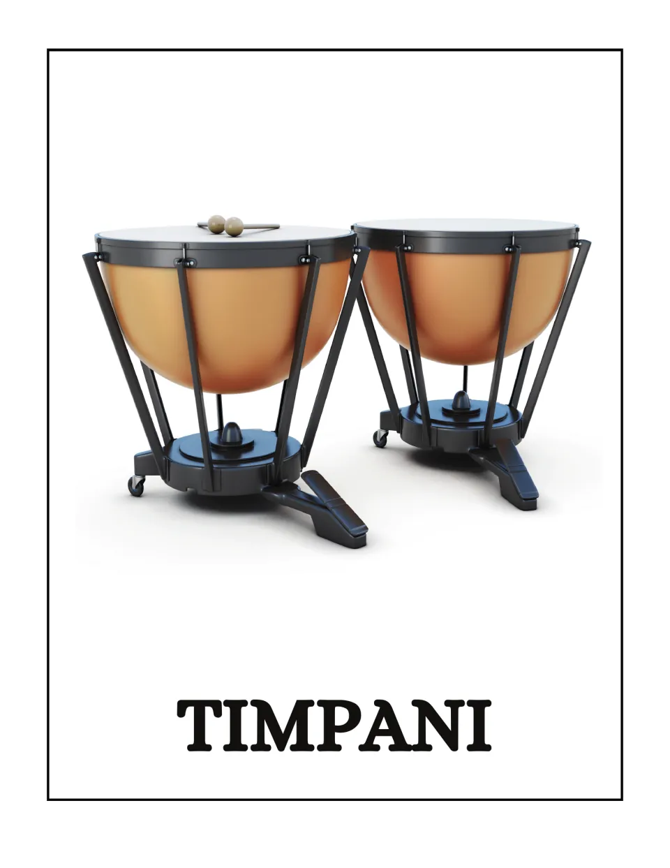Timpani poster in the musical instrument set, featuring a photo of two drums with mallets and the label TIMPANI