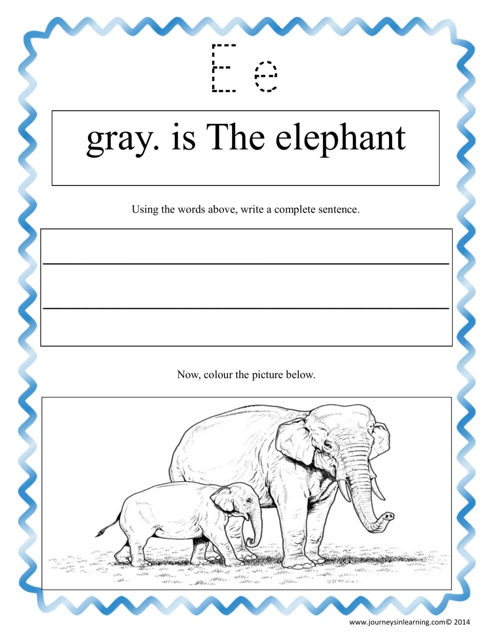 Letter Ee unscrambling: trace Ee, order 'grey. is The elephant' into a sentence and colour an elephant and calf