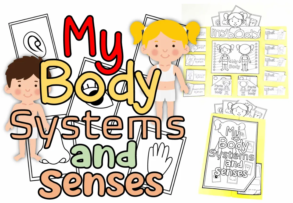 My Body Systems and Senses Lapbook cover: cartoon boy and girl, sense pictures and photos of the finished lapbook