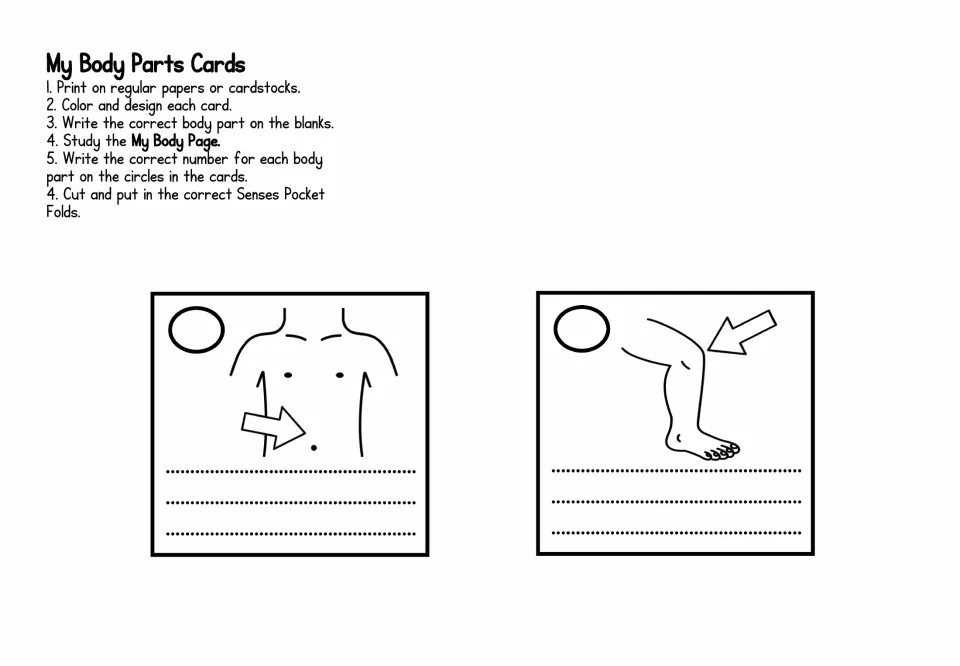 My Body Parts Cards: students name the body part each arrow shows, like the belly button and knee, and add its number