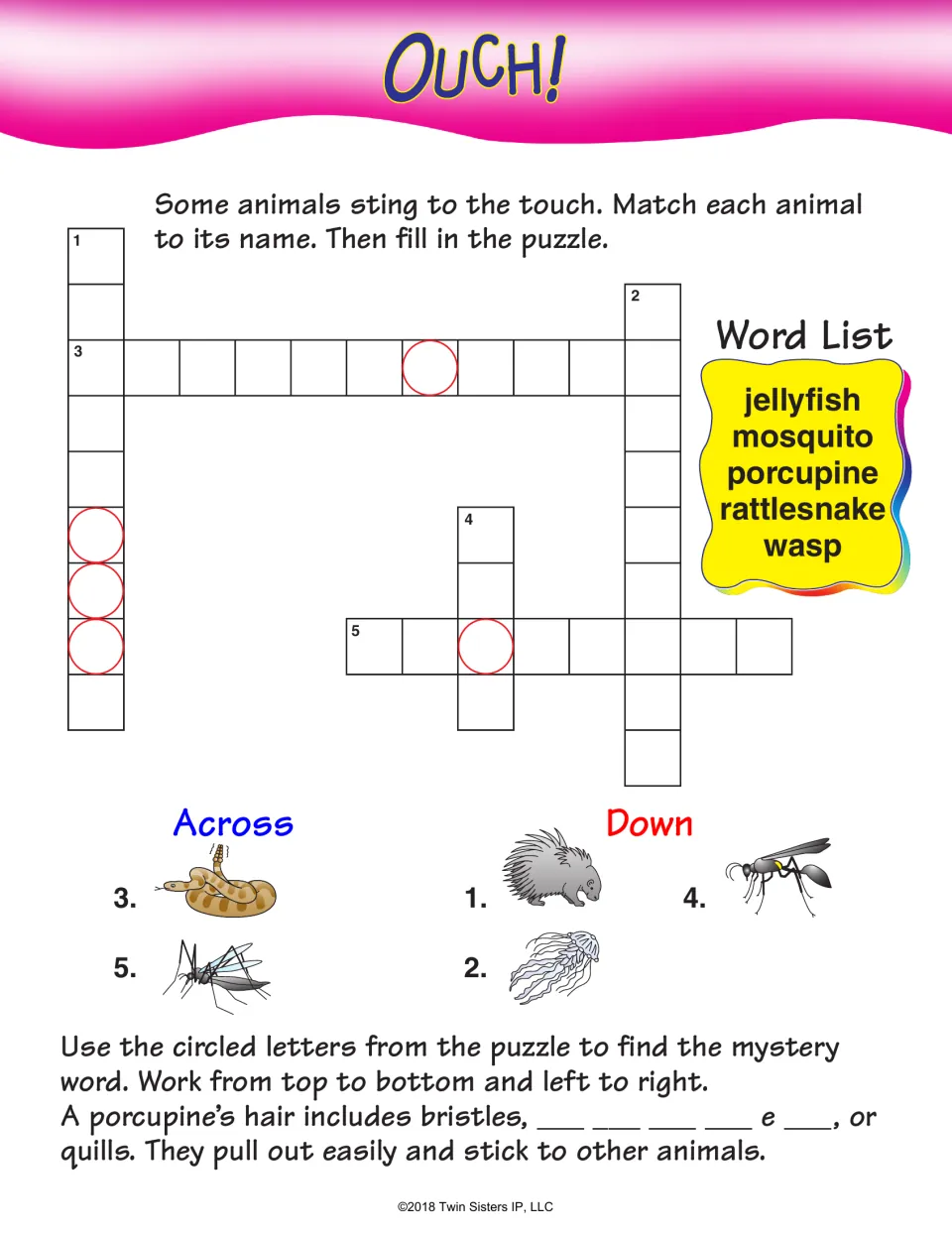 Ouch! Stinging animals crossword: students name jellyfish, mosquito, porcupine, rattlesnake and wasp from pictures