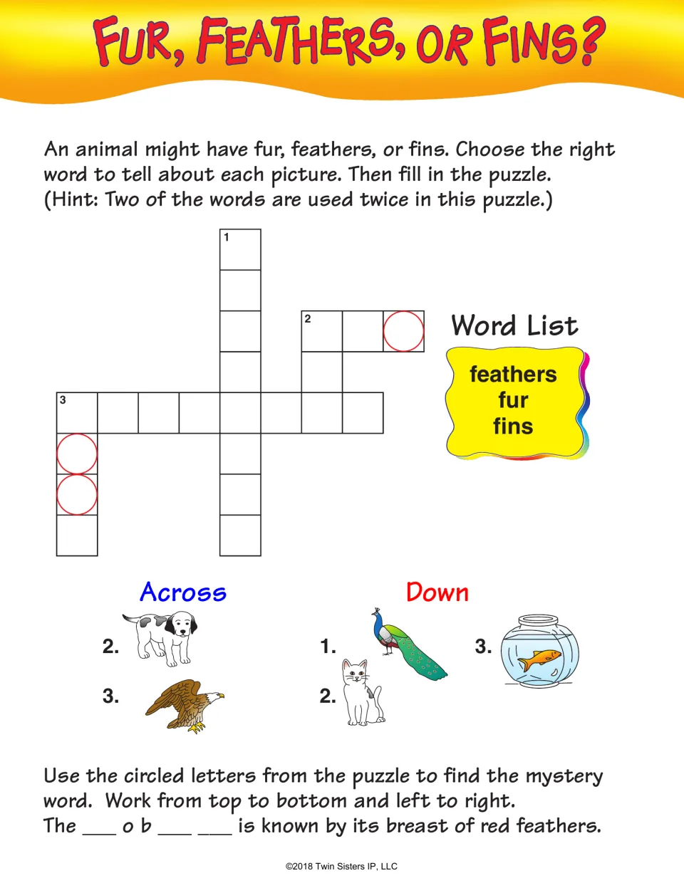 Fur, Feathers, or Fins? Students pick the body covering for a dog, eagle, peacock, cat and goldfish to fill the crossword