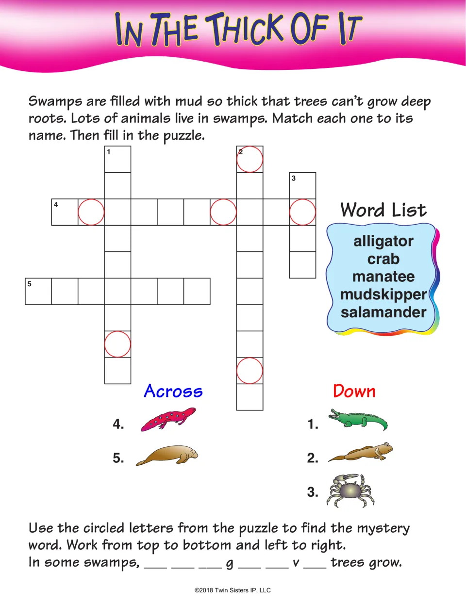 In the Thick of It: swamp animals; students match alligator, crab, manatee, mudskipper and salamander to their pictures
